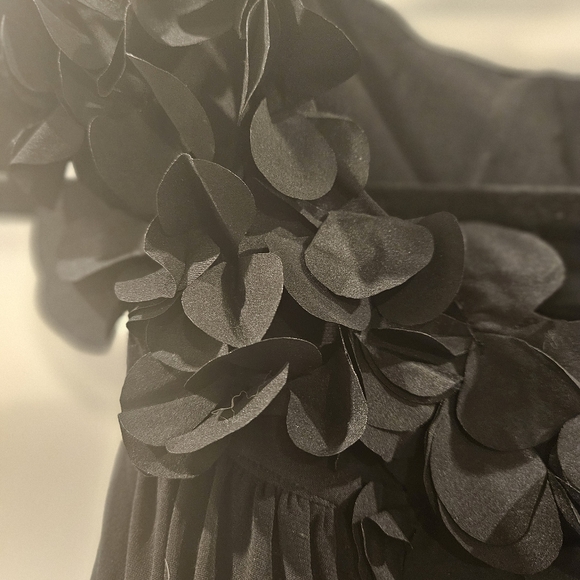 Laura Black tulle gown - Picture 10 of 13